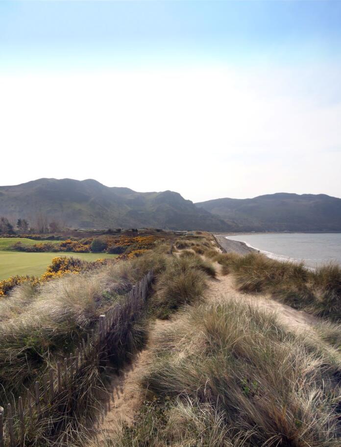 A golf course by the coastline divided by gorse and wild sand banks.