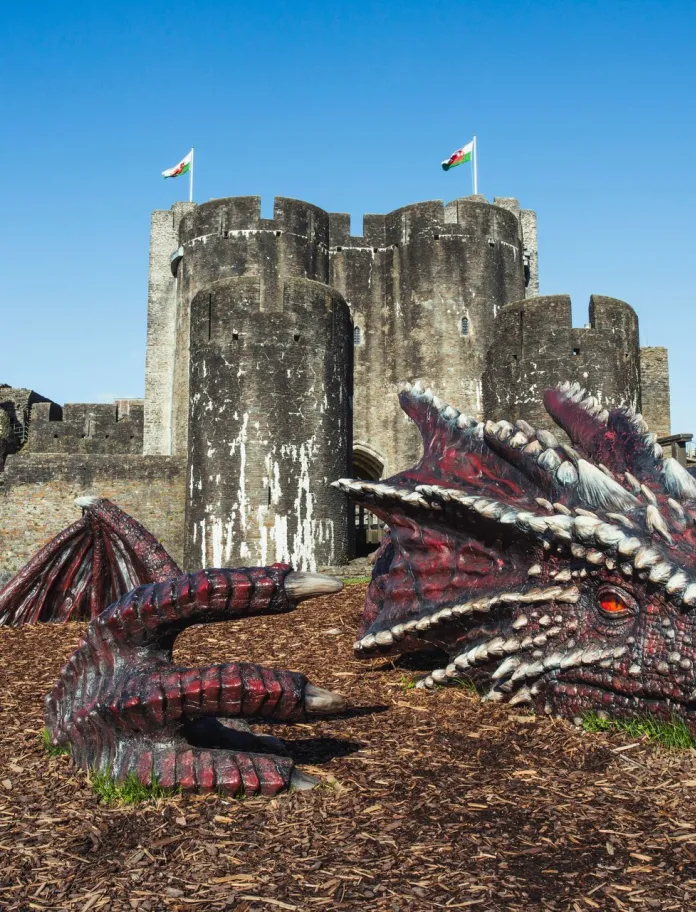 Dragon laying on the floor with thr castle and leaning tower of Caerphilly