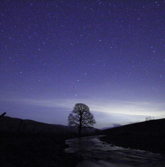 Dark, starry night with a tree silhouette by a stream.