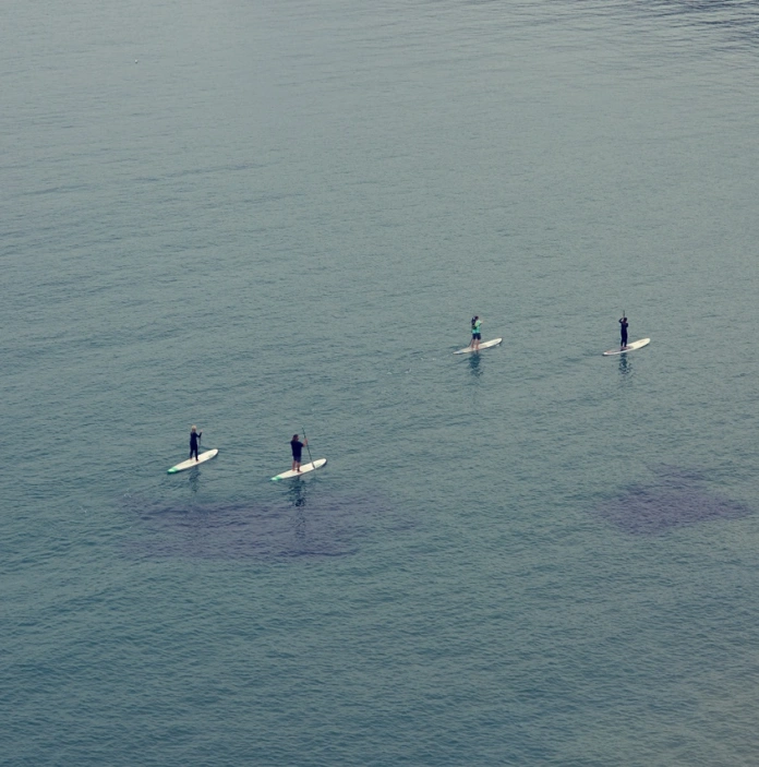 Four people paddle boarding in the sea.