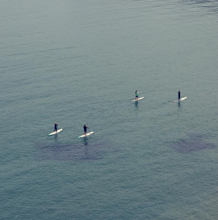 Four people paddle boarding in the sea.