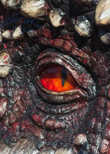 Red eye of dragon with white and red scales of face.
