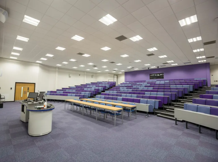 A lecture theatre showing the rising rows of purple furnished chairs and carpet.