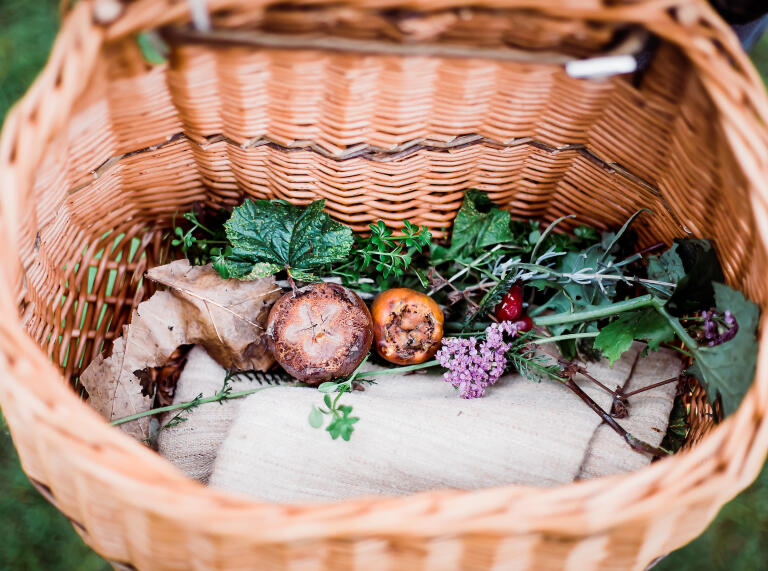 Foraged plants and vegetables in a basket.