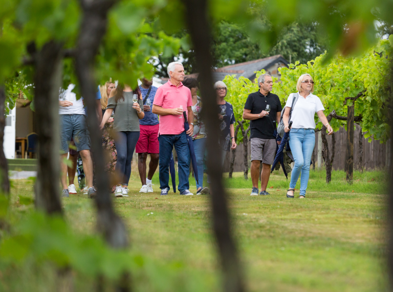 A group of visitors touring Llanerch Vineyard.