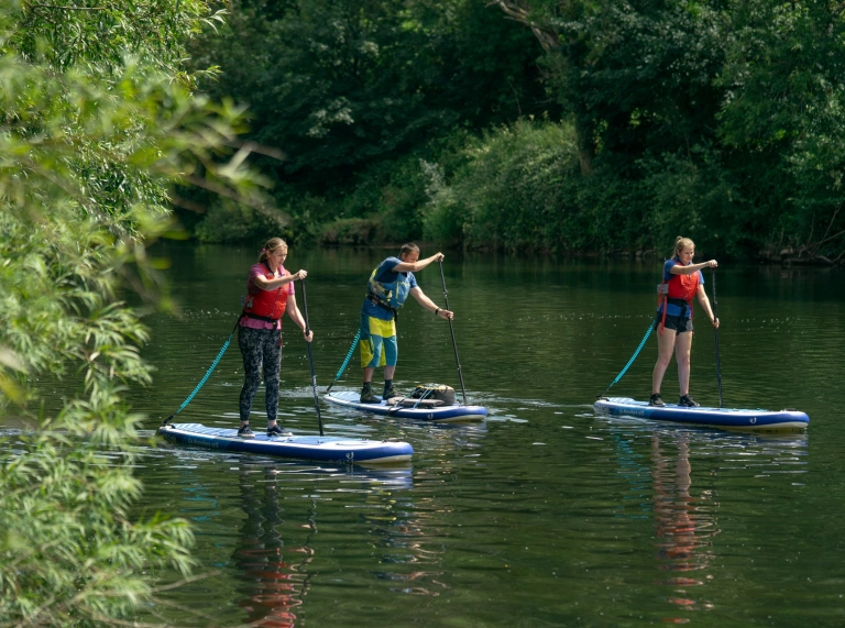 Group of people stand-up paddleboarding on a river.