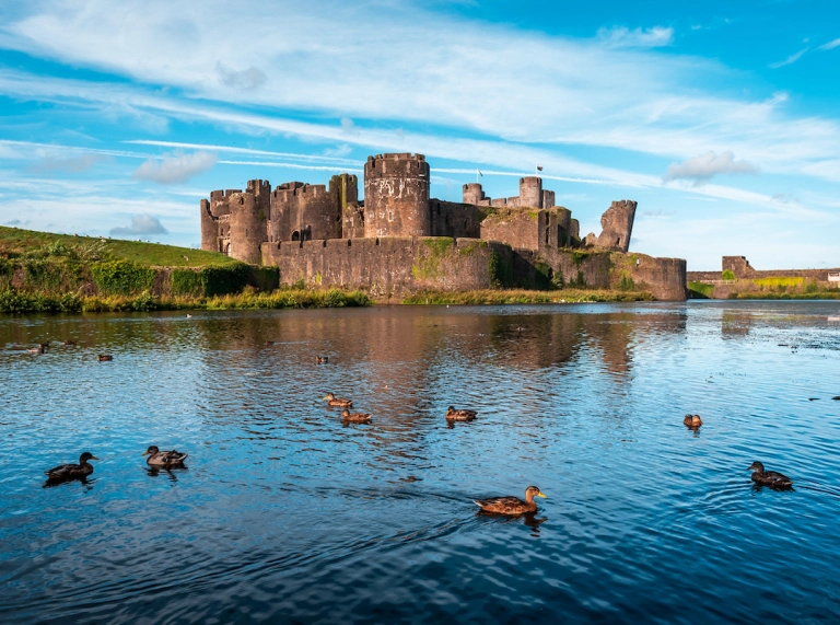 Castle in the background against blue sky and green grass with ducks in the lake in teh forefront