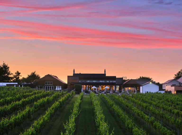 Image of Llanerch Vineyard with orange and pink sunset
