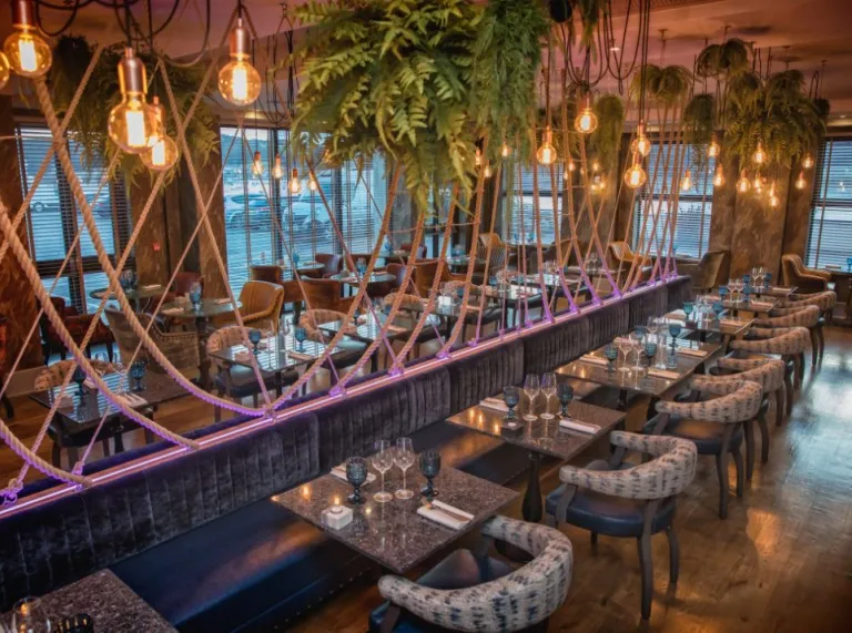 Bar with seats greenery and rope draped as decoration across the ceiling and seats 