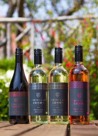 Four bottles of wine - red, two whites and a rose.