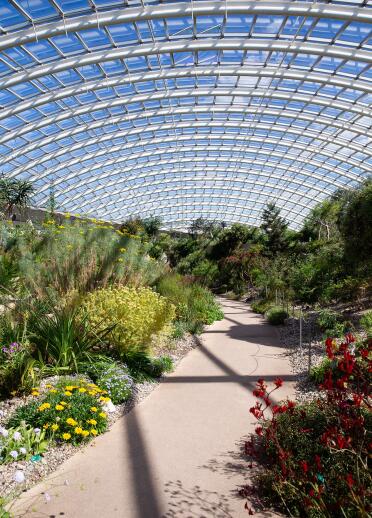 Interior view of the the Great Glasshouse, National Botanic Garden of Wales.