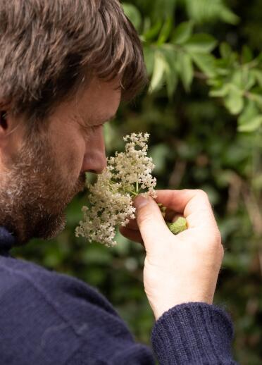 Person smelling flowers foraging.