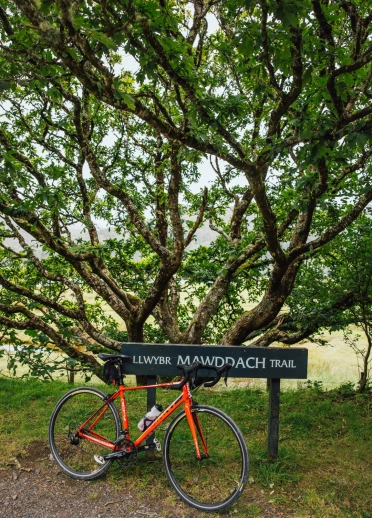 Mawddach Trail sign with bike