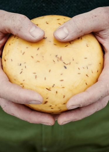 Man holding a wheel of cheese.
