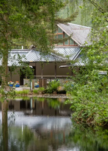 Looking through the green trees at the eco building and lake.