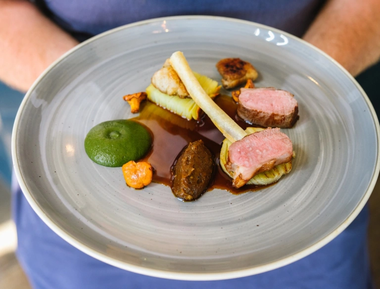 A plate of food including meat, vegetables, puree and sauce.
