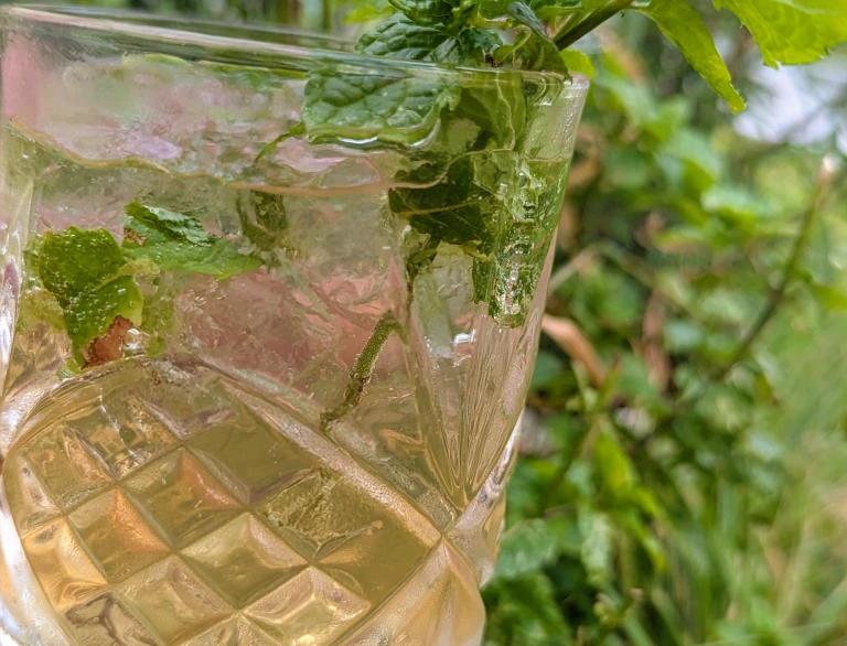 A glass of iced mint drink garnished with fresh mint leaves in a garden setting