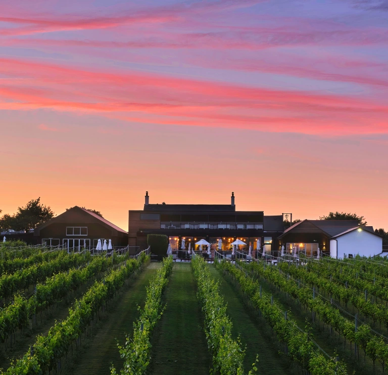 Image of Llanerch Vineyard with orange and pink sunset
