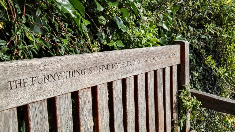 Bench etched with the phrase 'The funny thing is, I find myself going back again and again'.