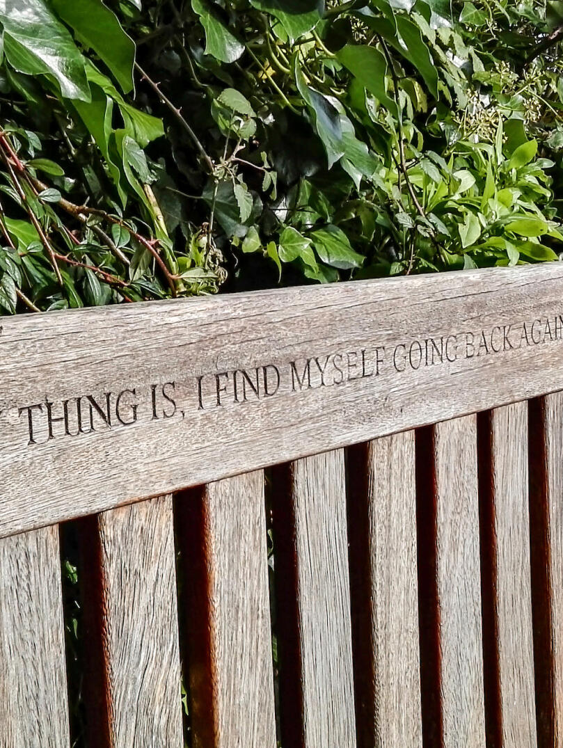 Bench etched with the phrase 'The funny thing is, I find myself going back again and again'.