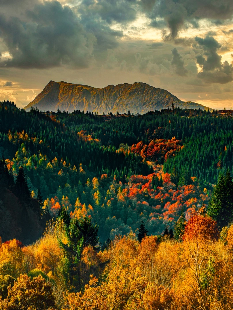 Siabod Mountain in Autumn