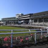A racecourse surrounded by flowers, a seating area and hospitality boxes.
