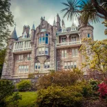 An external view of a grand chateau framed with trees and foliage.