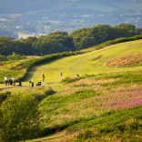 Golfers playing a round with views of the countryside beyond.