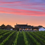 Image of Llanerch Vineyard with orange and pink sunset