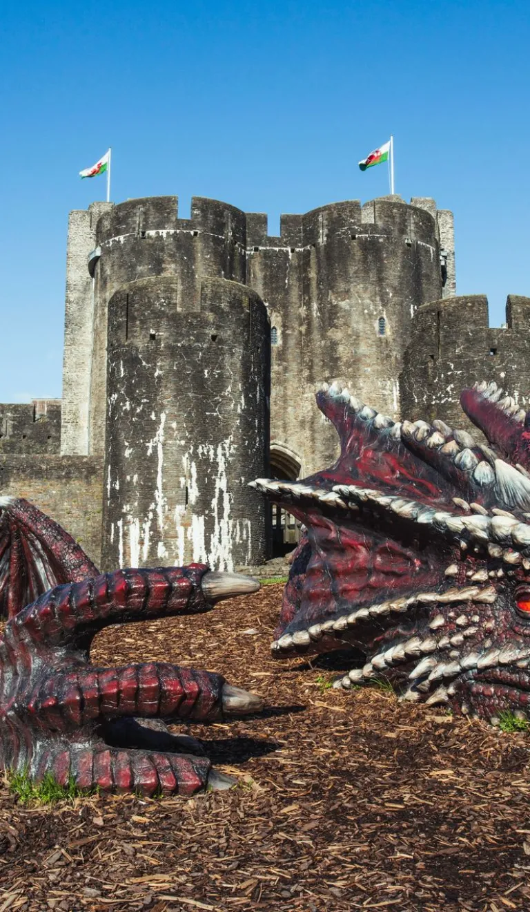Dragon laying on the floor with thr castle and leaning tower of Caerphilly